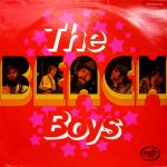 The Beach Boys - The Beach Boys (LP, Comp)