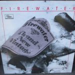Firewater (3) - Brand New Vintage (LP, Album)