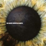 EW's QXTD* - The Divine Cockeyed Glimpse (CD, Album)