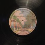 Everly Brothers - Walk Right Back With The Everlys (20 Golden Hits) (LP, Comp)