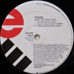 Tamia - Can't Go For That (Jonathan Peters Remix) (12", Promo)