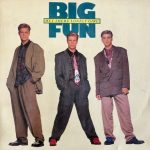 Big Fun - Hey There Lonely Girl (12", Single)
