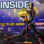 Inside* - Fly To My Arms (12")