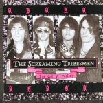 The Screaming Tribesmen - I've Got A Feeling (12", Single)
