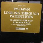P.M. Dawn - Looking Through Patient Eyes (12")