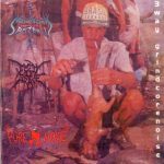 NYAB* / Empty Grave / Pure Noise - 3 Way Grindcorenoise (CD)