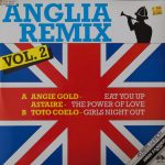 Various - Anglia Remix Vol. 2 (12", Single, P/Mixed)