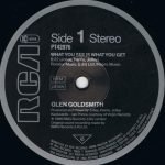 Glen Goldsmith - What You See Is What You Get (12", Maxi)