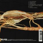 The End (4) - Transfer Trachea Reverberations From Point: False Omniscient (CD, Album)
