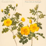 Sigismondo D'India, La Venexiana, Claudio Cavina - Primo Libro de Madrigali  (CD, RE)