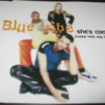 Blue Tribe - She's Cool (Come Into My Life) (CD, Maxi)