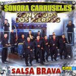 Sonora Carruseles - Con Todos Los Hierros - Salsa Brava (CD, Album)