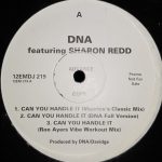 DNA Featuring Sharon Redd - Can You Handle It (12", Promo)