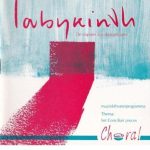 Labyrinth (20) - De Stoppen Zijn Doorgeslagen (CD)