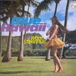 Wout Steenhuis - Blue Hawaii (LP, Album, RE)