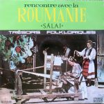 Various - Sălaj (LP, RE)