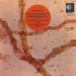 Bengt Hambraeus - Constellations & Interferences (LP)