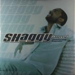 Shaggy Featuring Rayvon - Angel (CD, Single)