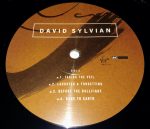 David Sylvian - Gone To Earth (2xLP, Album, RE, 180) - Afbeelding 3