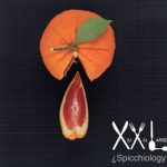 Xiu Xiu Larsen* - ¿Spicchiology? (CD, Album)