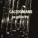 Caledonians - Ya Gotta Try (LP, Album)