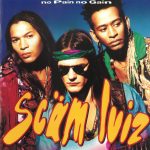 Scäm Luiz - No Pain No Gain (CD, Album)