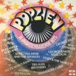 Various - Popzien - 14 (P)opzienbarende Hits (LP, Comp)