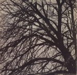 Donovan - Donovan's Greatest Hits (LP, Comp, Gat) - Afbeelding 2