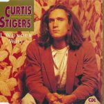 Curtis Stigers - I Wonder Why (CD, Single)