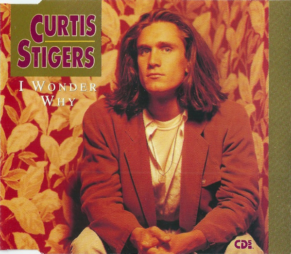 Curtis Stigers - I Wonder Why (CD, Single)