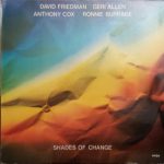 David Friedman, Geri Allen, Anthony Cox, Ronnie Burrage - Shades Of Change (LP, Album)