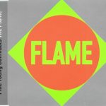 Fine Young Cannibals - The Flame (CD, Maxi)