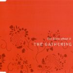 The Gathering - You Learn About It (CD, Single)