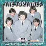 The Fortunes - You've Got Your Troubles (CD, Comp, Dig)