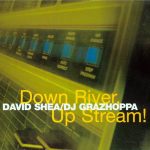 David Shea / DJ Grazhoppa* - Down River, Up Stream! (CD, Album)