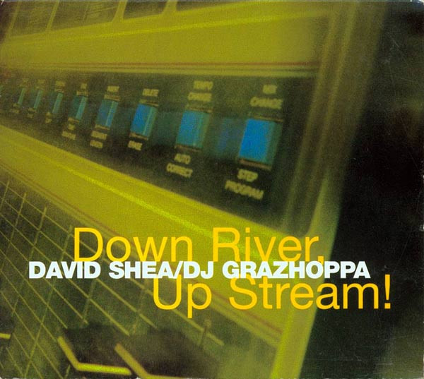 David Shea / DJ Grazhoppa* - Down River, Up Stream! (CD, Album)