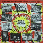 Various - Sunsation Groove Collection Vol. 1 (LP, Comp)