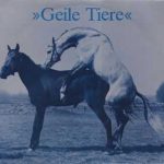 Geile Tiere - Geile Tiere (LP, Album)