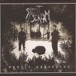 Silent Scream (3) - Public Execution (CD, Album)