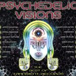 Various - Psychedelic Visions - The Best Of Transient Records (2xCD, Comp)
