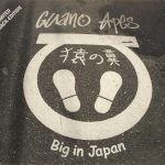 Guano Apes - Big In Japan (CD, Maxi, Ltd, Dig)
