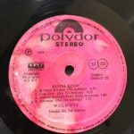 Wulomei - Kunta Kinte (LP)