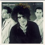 Blank & Jones feat. Robert Smith - A Forest (CD, Single, Enh)