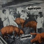 Rommedoe - Zwijnerijj (LP)