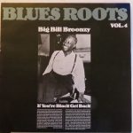 Big Bill Broonzy - If You're Black Get Back (LP, Comp)