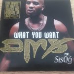 DMX Feat. Sisqo - What You Want (CD, Maxi)