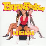 Fannypack - Cameltoe (CD, Single)