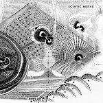 Sciatic Nerve - Sciatic Nerve (12", Album, Ltd, Red)