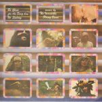 The Incredible String Band - Be Glad For The Song Has No Ending (LP, Album)