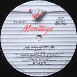 Flower (2) - Are You Mad Enough / New York (12")